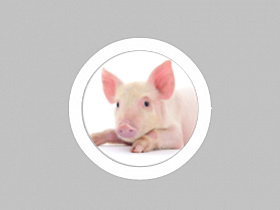 战神引擎安装4.0插件和修改右上角文字教程